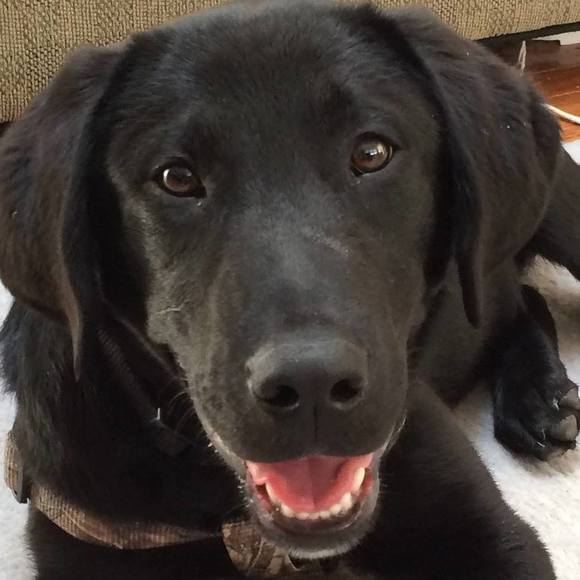 Meet your Posher, Christie - Picture 1 of 1